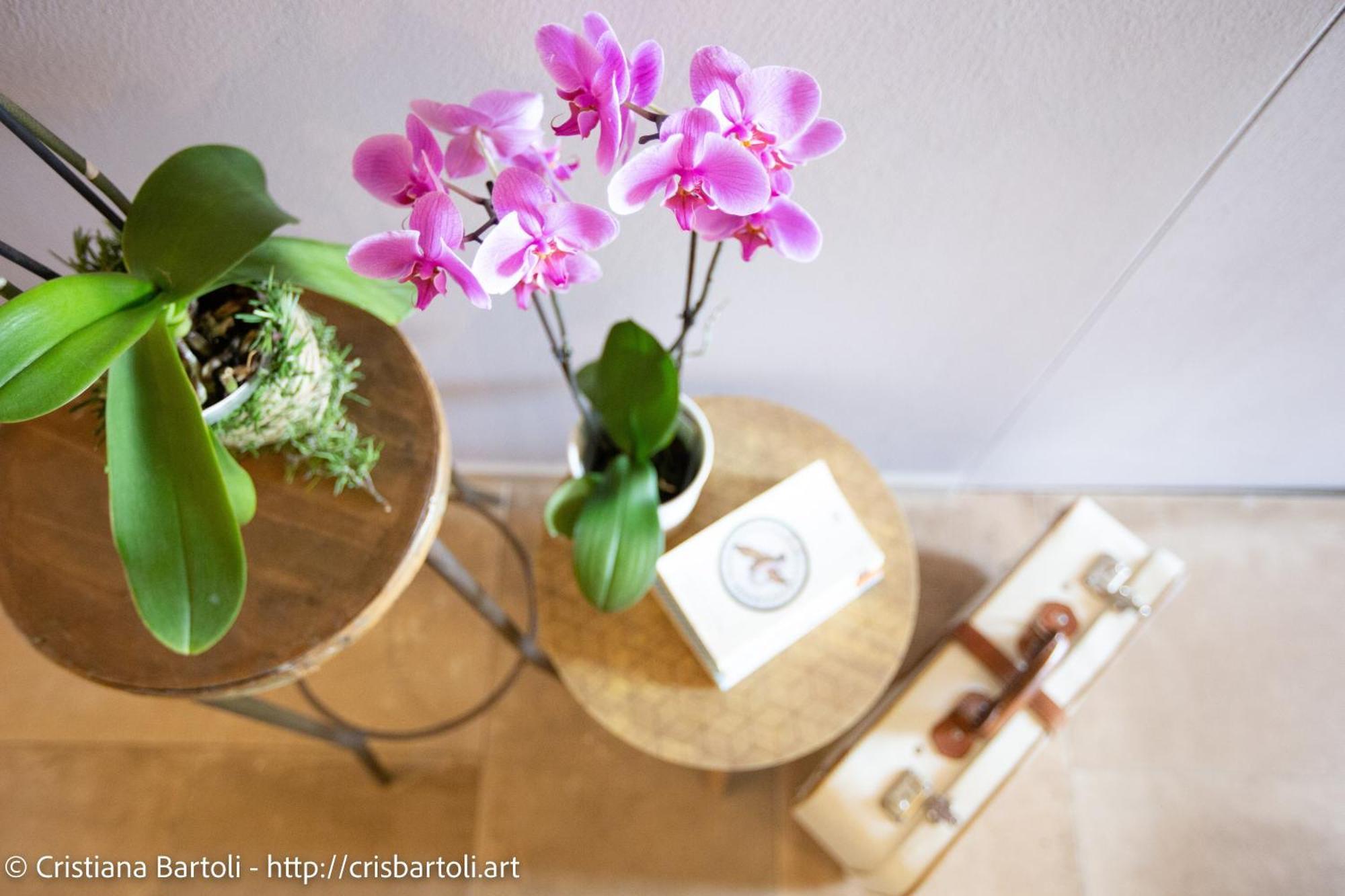 Agriturismo Qui E Ora Bevagna ห้อง รูปภาพ